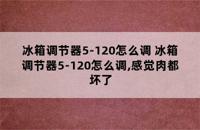 冰箱调节器5-120怎么调 冰箱调节器5-120怎么调,感觉肉都坏了